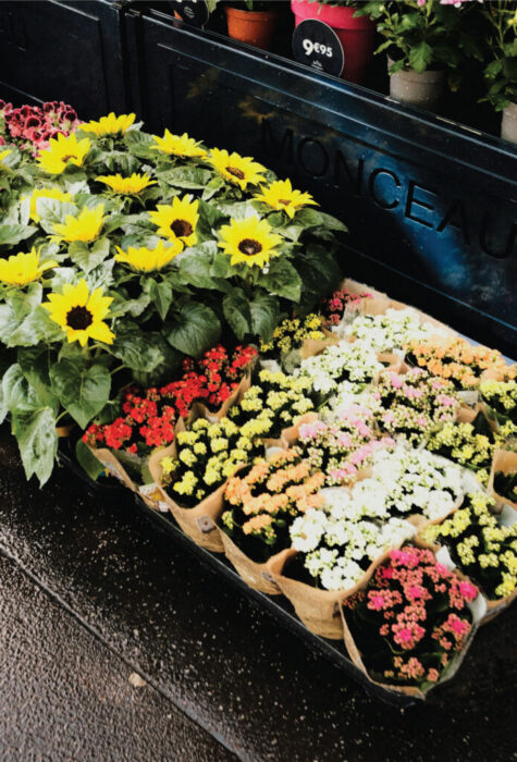 Flower Arrangements