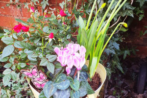 mothersday-flowers-handbag